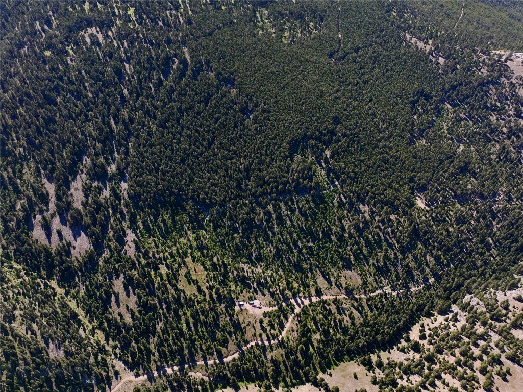 Plots and Land - TBD B Chimney Lakes Road, Helmville, MT