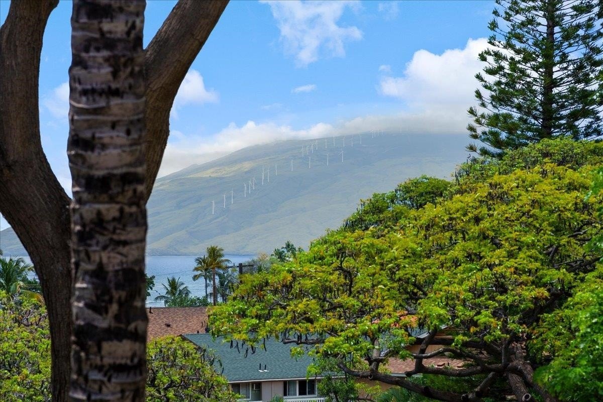 Condo 1BR 1BA - 2191 S Kihei Rd, Kihei, HI