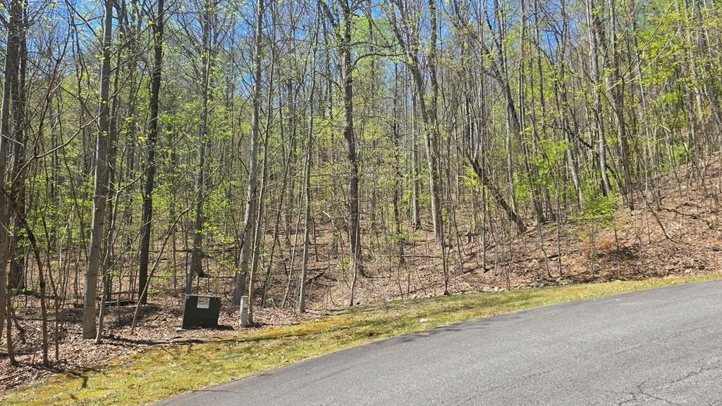 Other - Overlook Loop lot: 18, Young Harris, GA