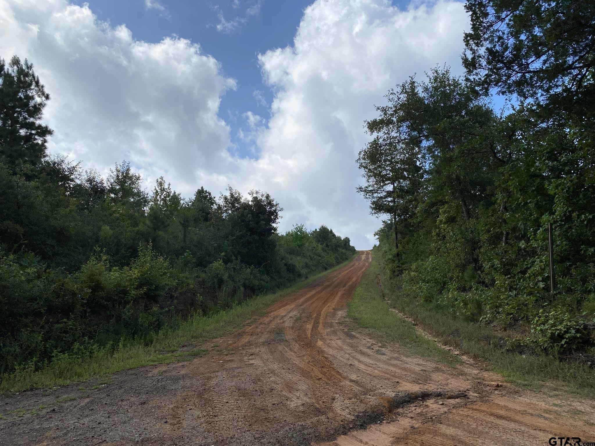 Other - TBD County Road 394, Tatum, TX
