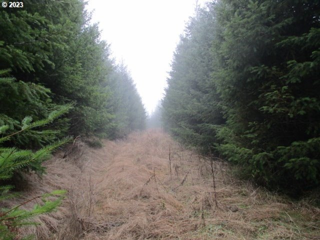 Other - Buck Hollow Rd, Sheridan, OR