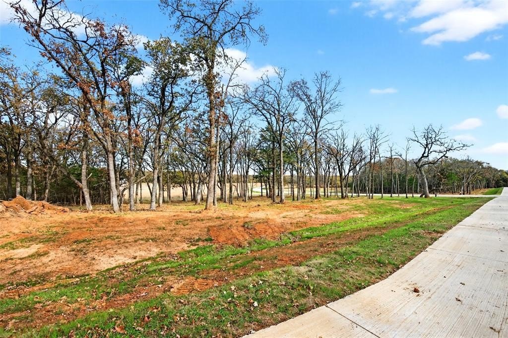 Other - Buck Trail lot: 12, Pottsboro, TX