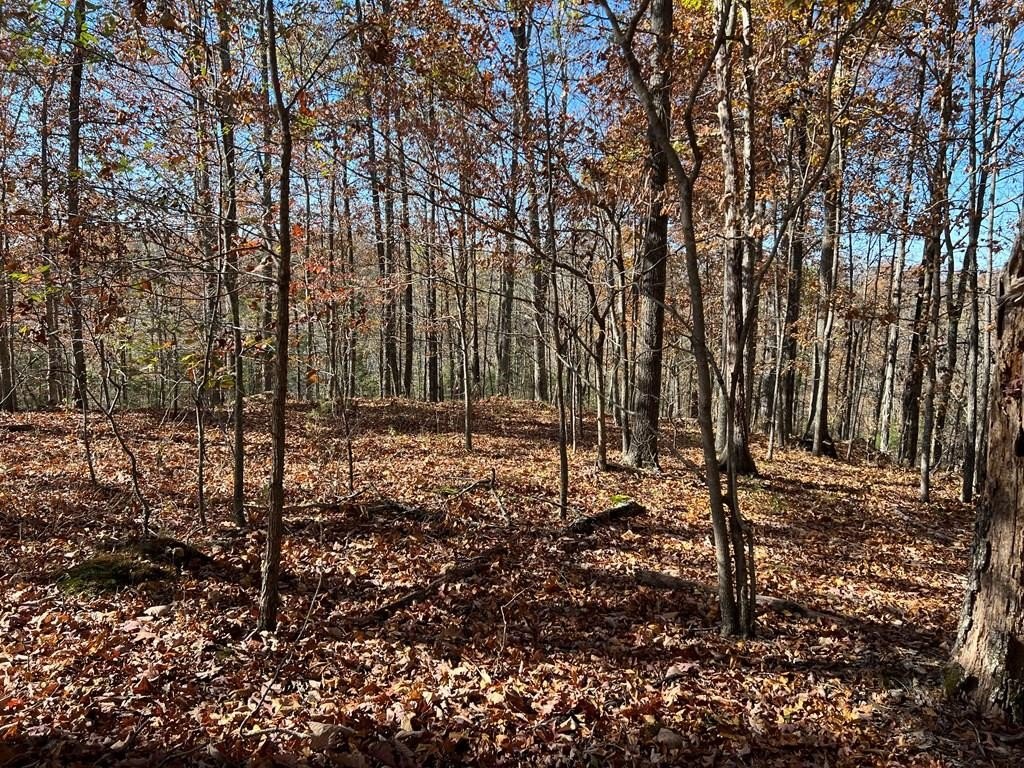 Other - 2.19 Ac Old Hwy 53 lot: 11, Celina, TN
