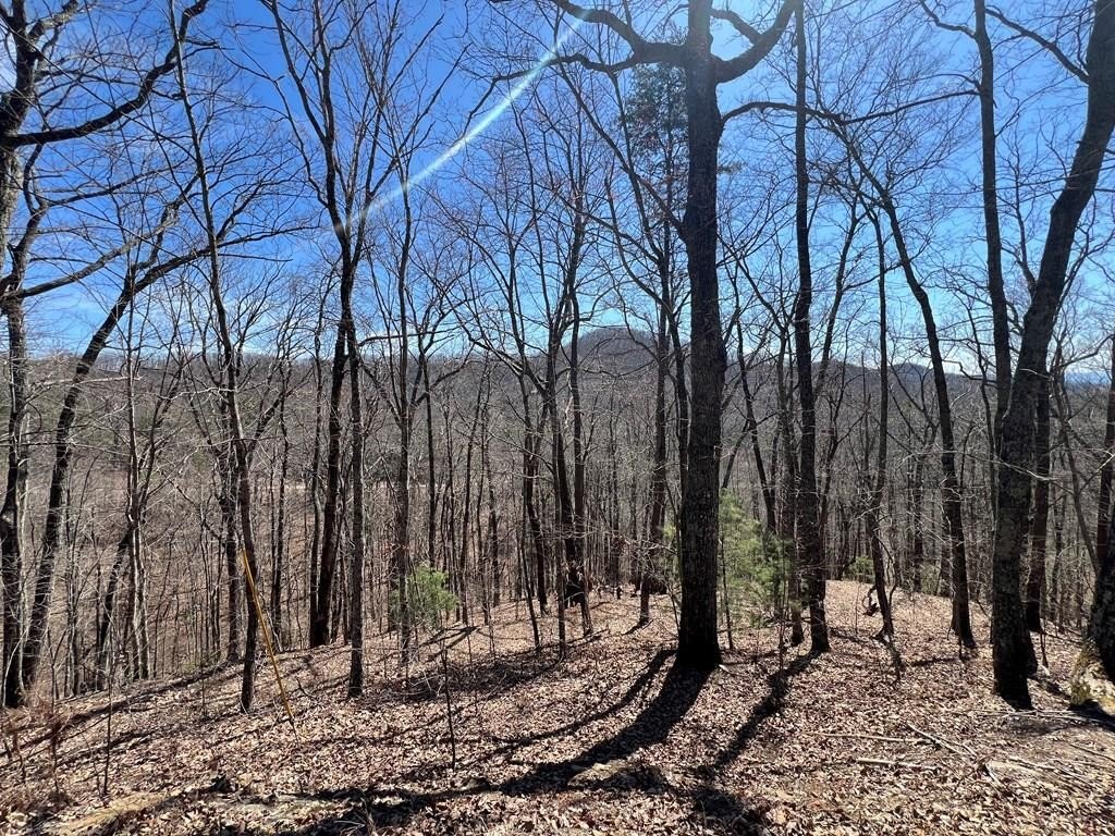 Other - Lot 17 Panorama Dr Wolf Mountain Estates, MURPHY, NC