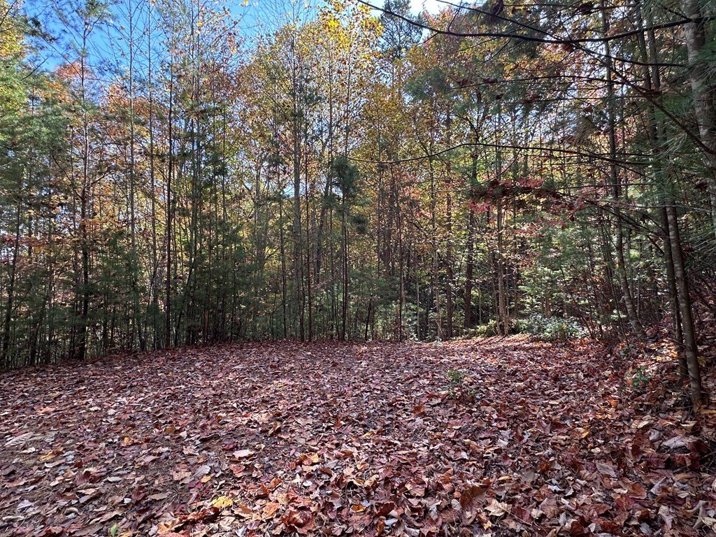 Other - Lot 5&8 Indian Rock Springs Subdivision, MURPHY, NC