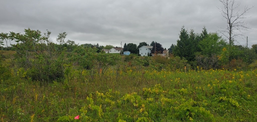 Other 3BR 1BA - Tbd S Hudson Ave, Sturgeon Bay, WI