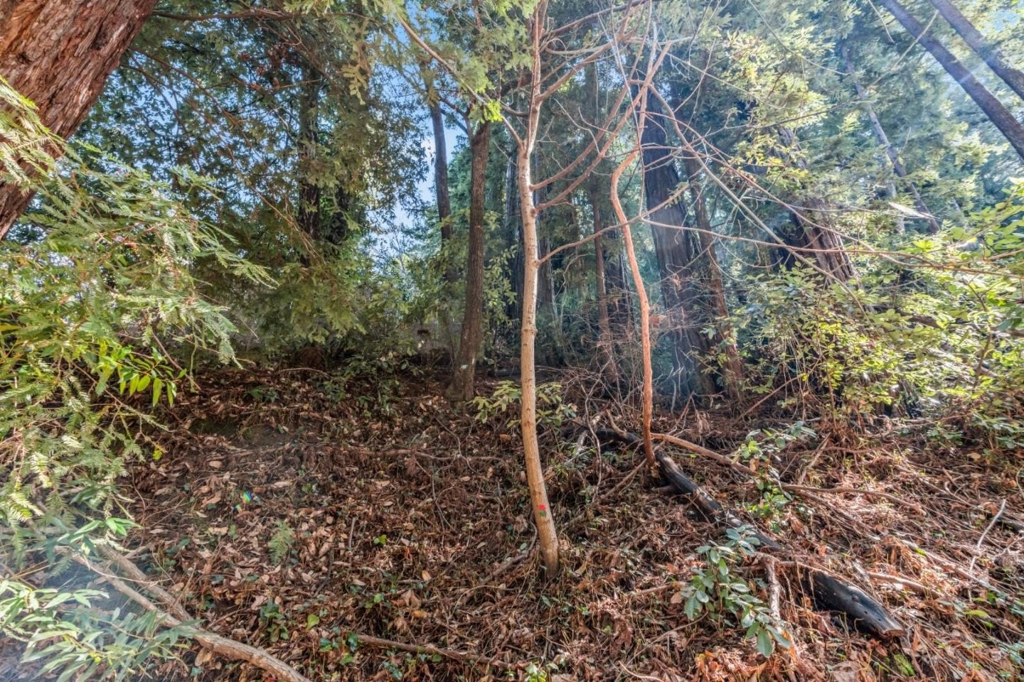 Other - Lot 28 La Lena ST, FELTON, CA