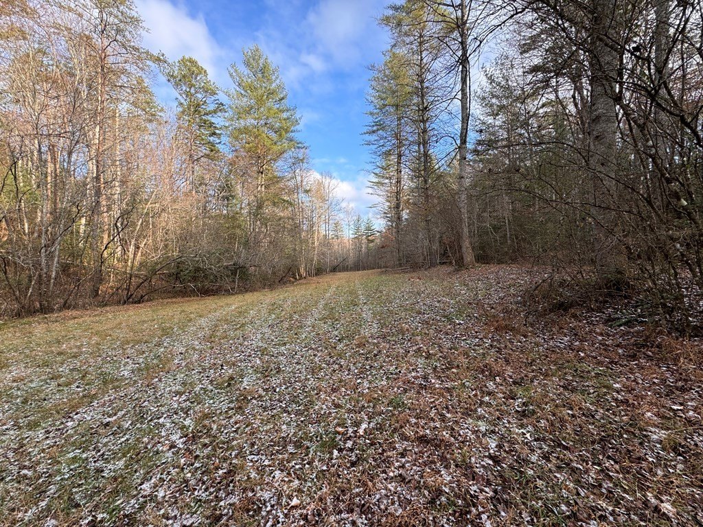 Other - 00 Shuler Mountain, MURPHY, NC