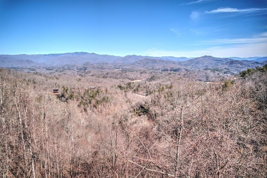 Other - Freeman Overlook lot: 6A, Almond, NC