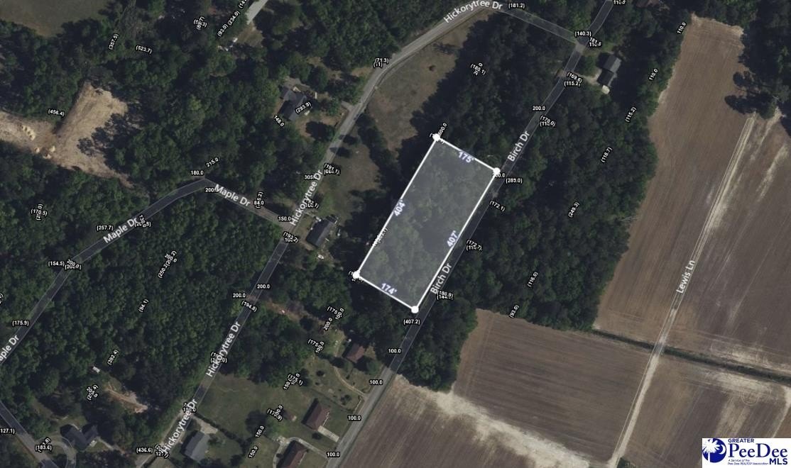 Single Family - TBD Birch Dr., Hartsville, SC