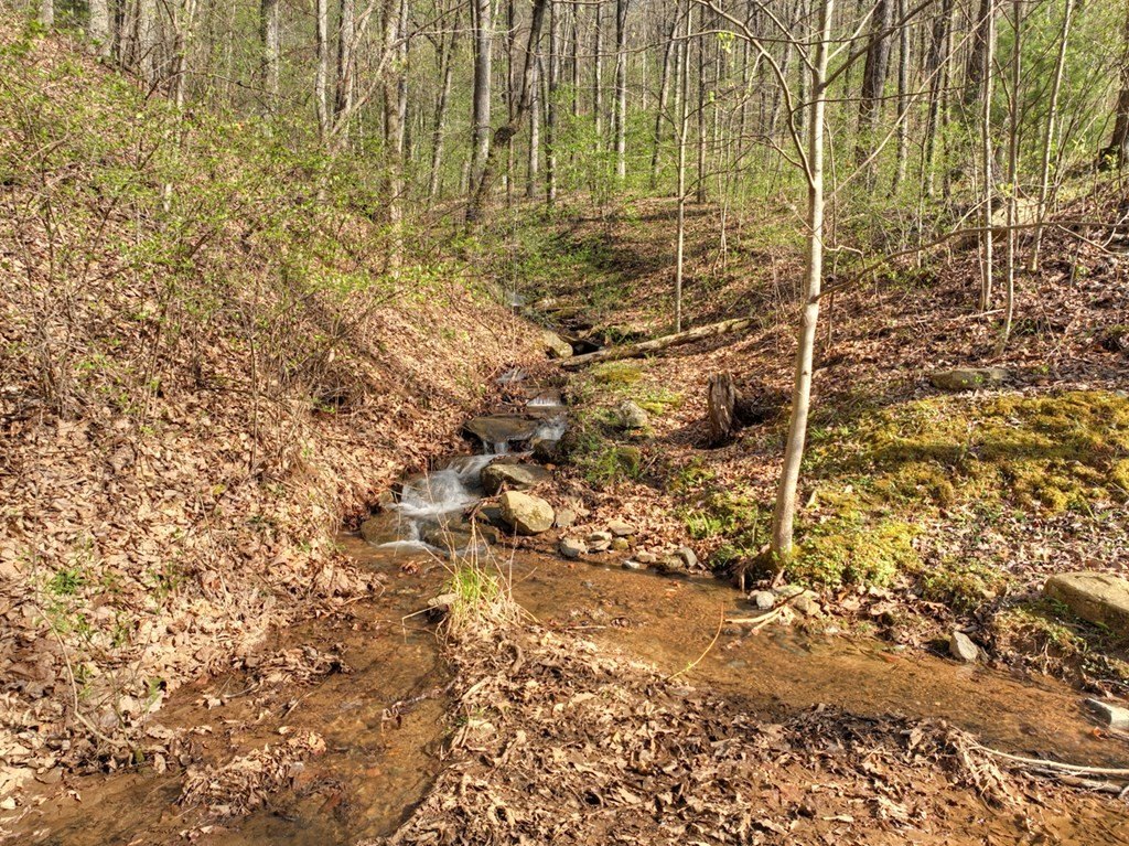 Other - Lot 4 Wilderness Way, Ellijay, GA