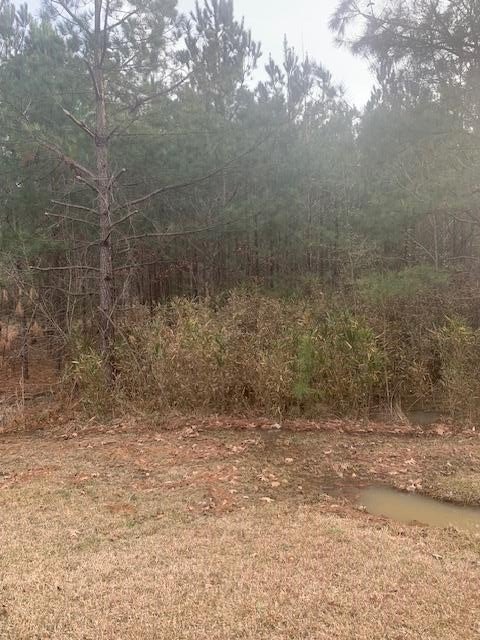 Other - 1638 U 35 L 15, Pachuta, MS