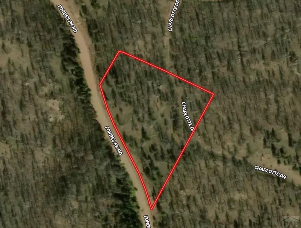 Other - Forbes Park Rd. lot: 273, Fort Garland, CO