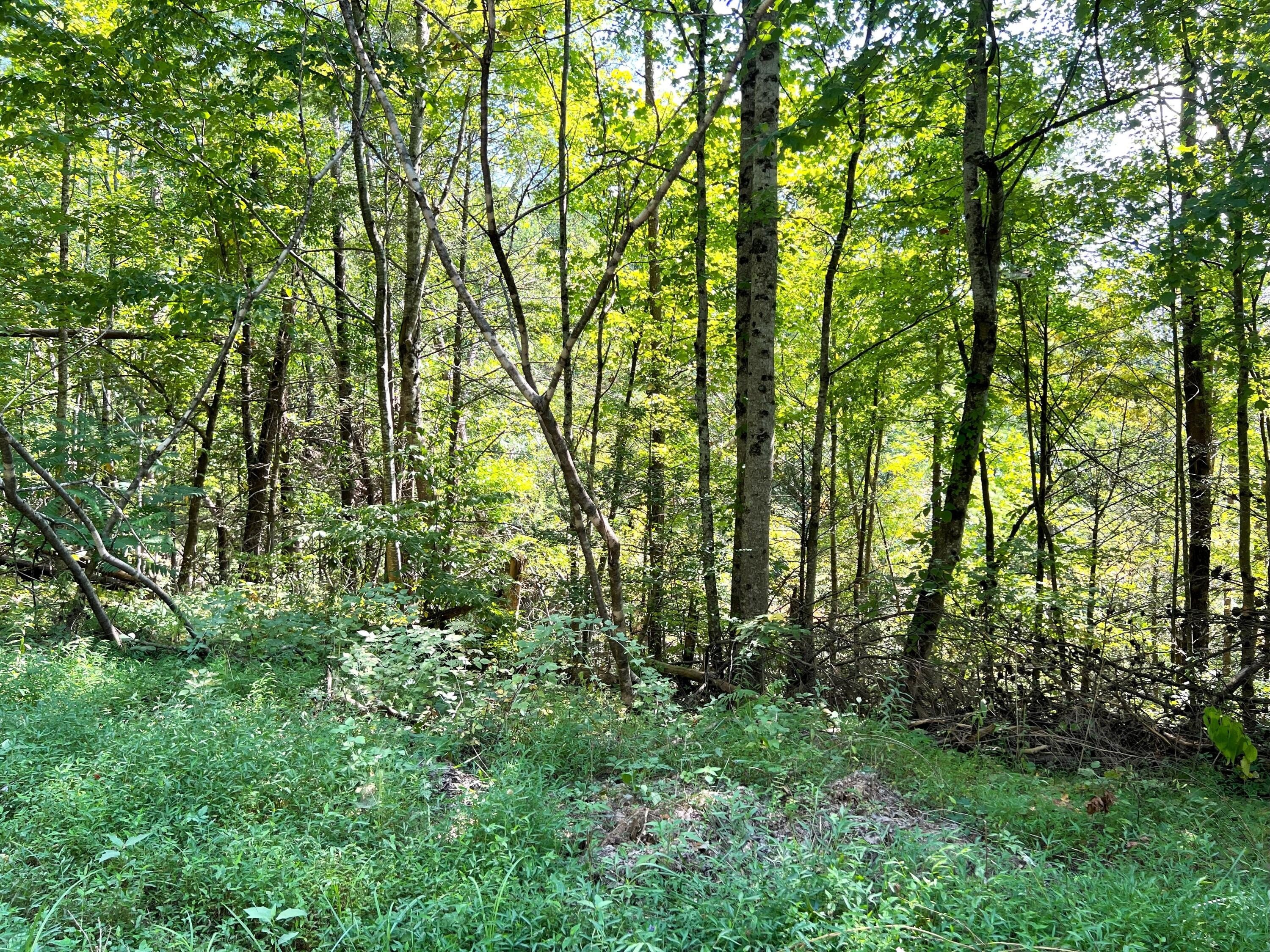 Other - Tract 8 Faith Mtn Way, Hartford, TN