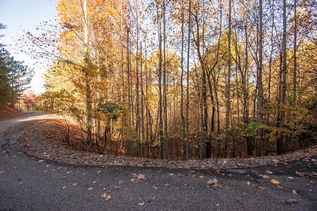 Other - Lot 66 Choctaw Ridge Trail, Murphy, NC