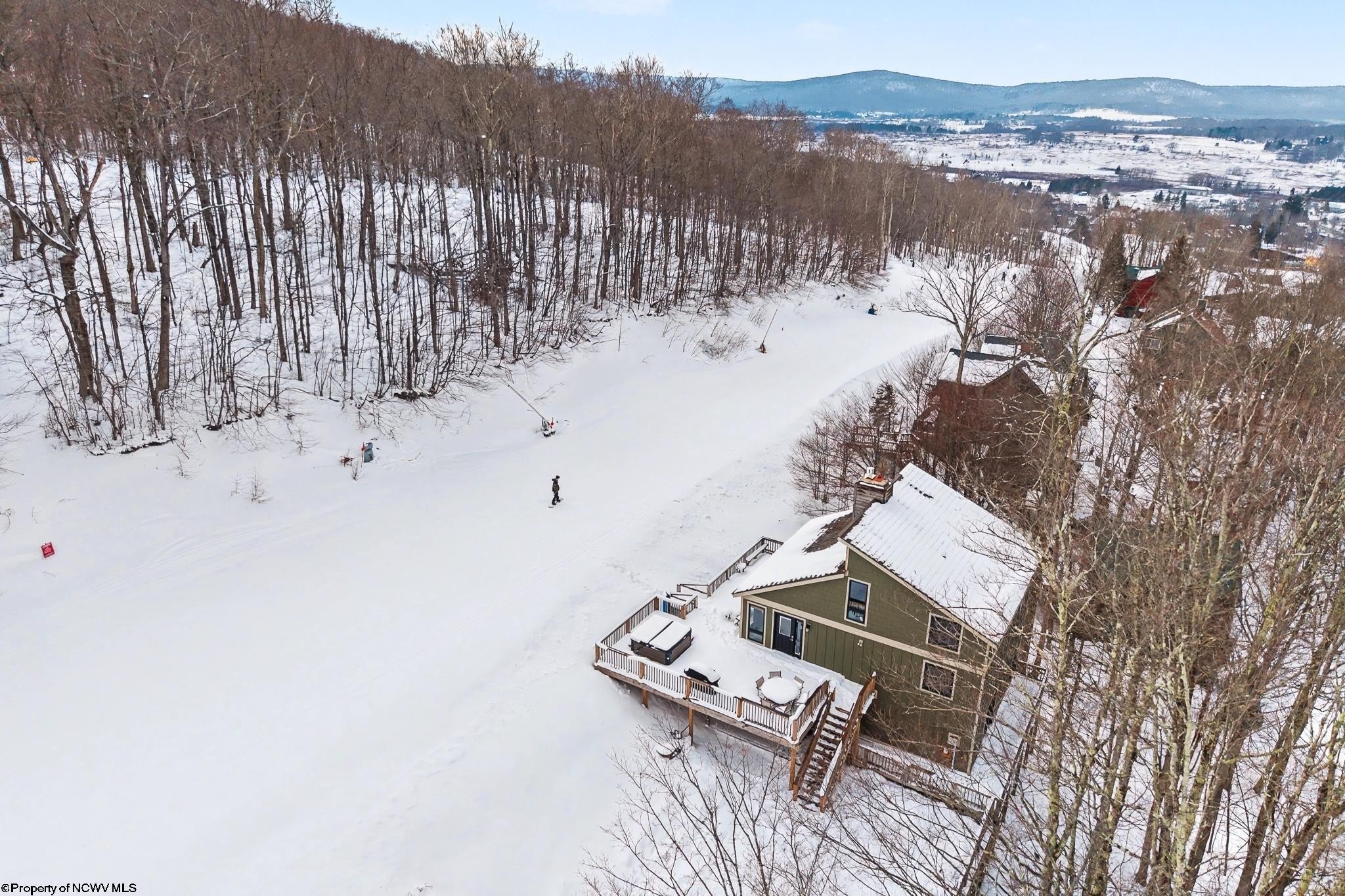 Single Family 5BR 3BA - 53 Ski In Court, Davis, WV