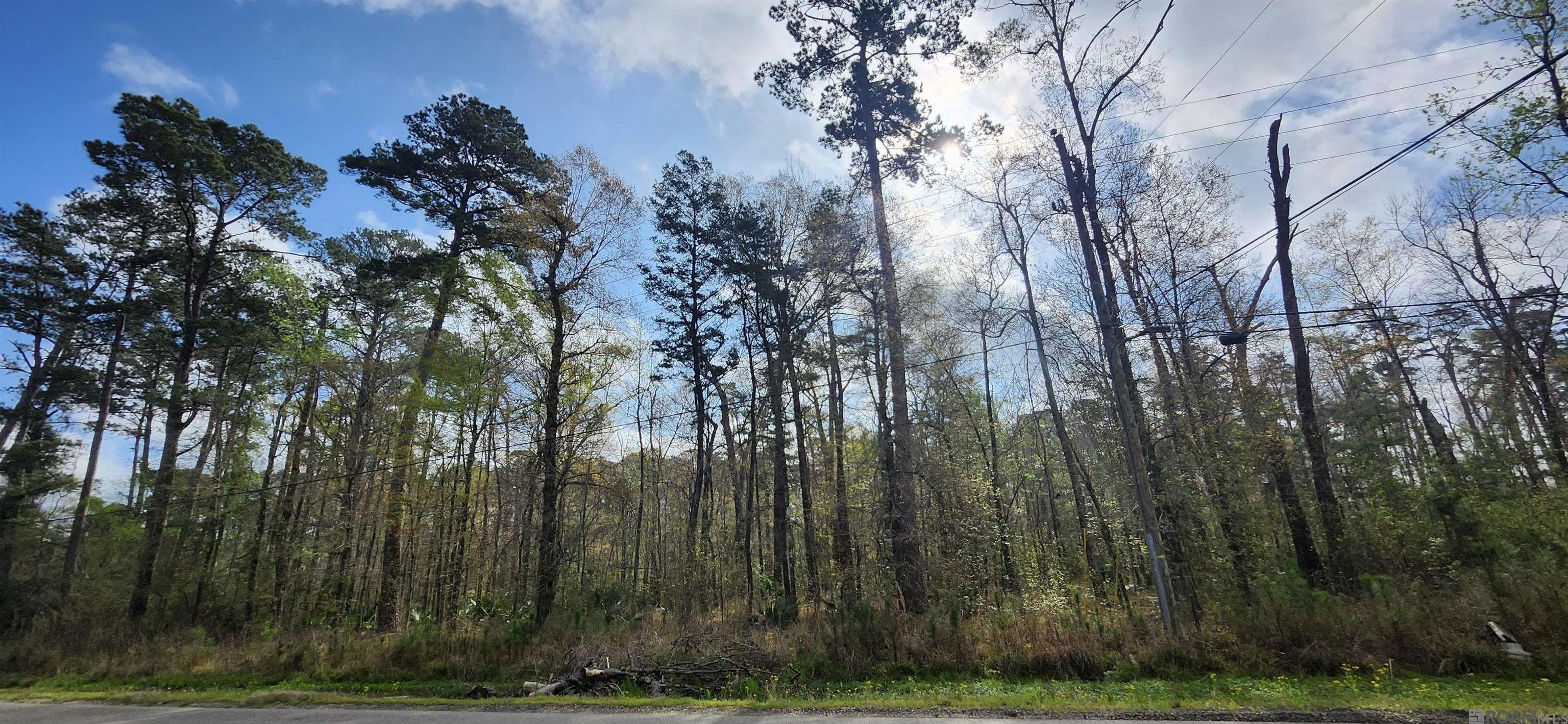 Other - Reinninger Rd lot: A-4, Denham Springs, LA