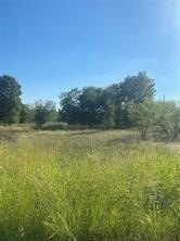 Plots and Land - Lot 102 Brookview Court, Bridgeport, TX