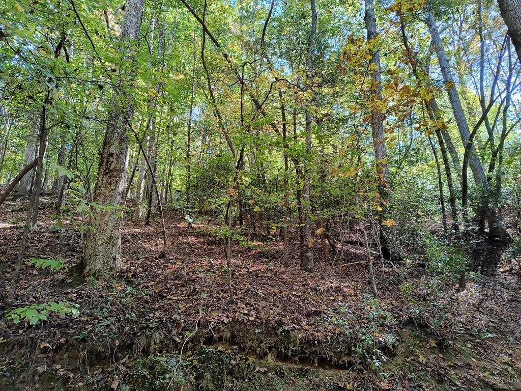 Other - Lot 334 Cold Stream Court, Ellijay, GA