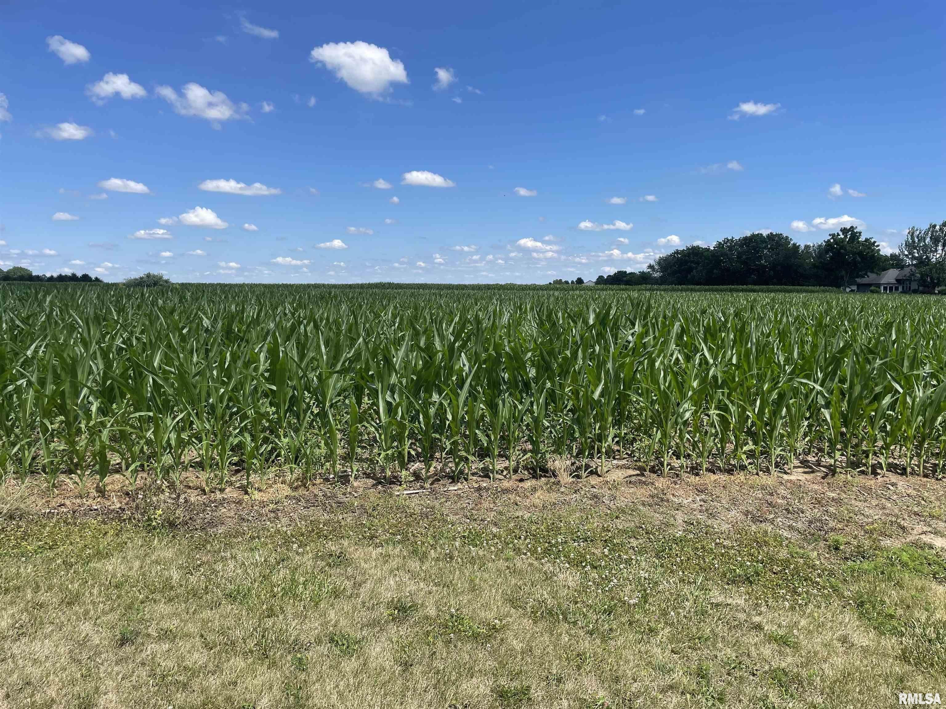 Lot 67 Centennial Park St  