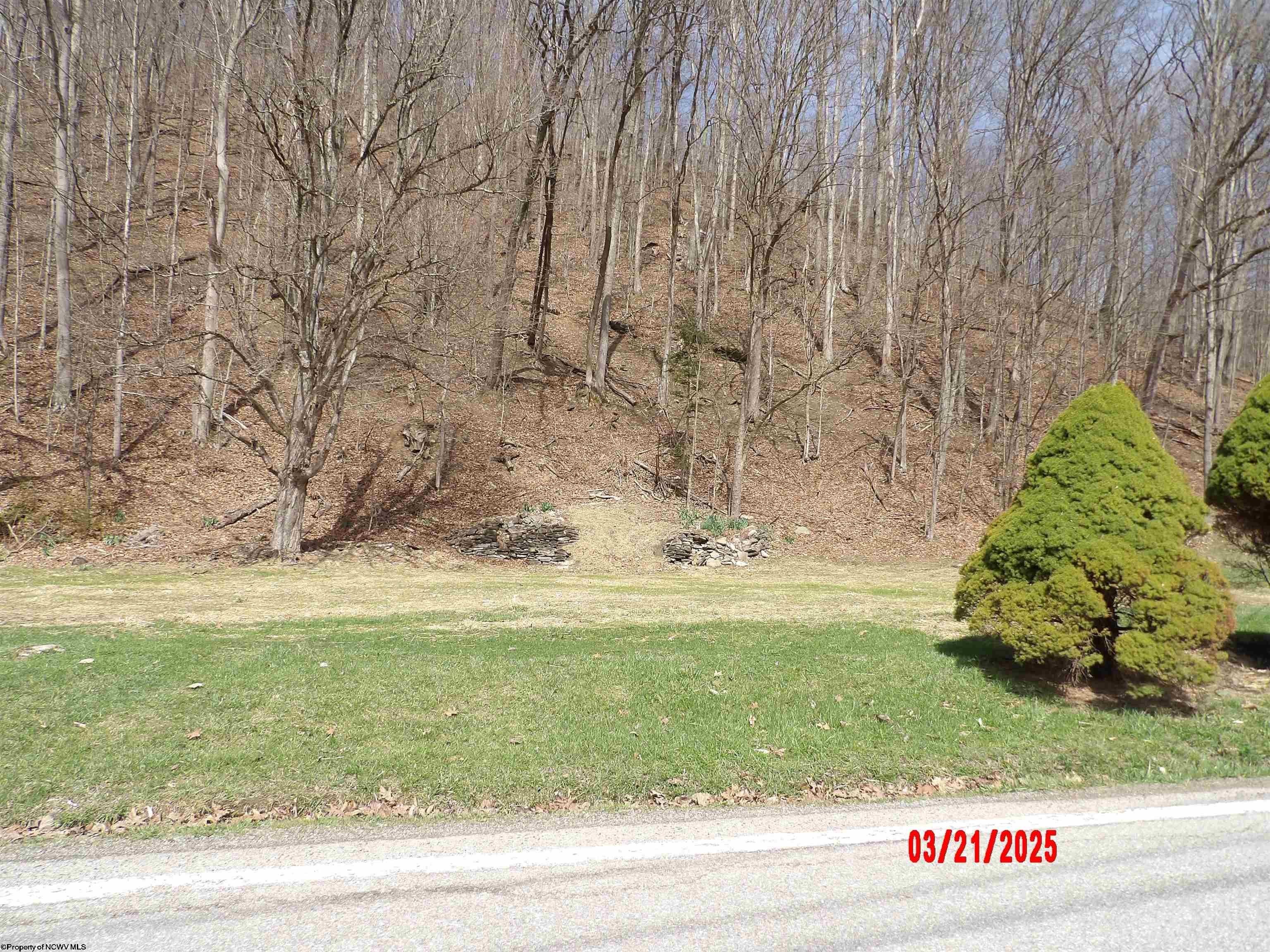 Other - 2511 Chenoweth Creek Road, Elkins, WV