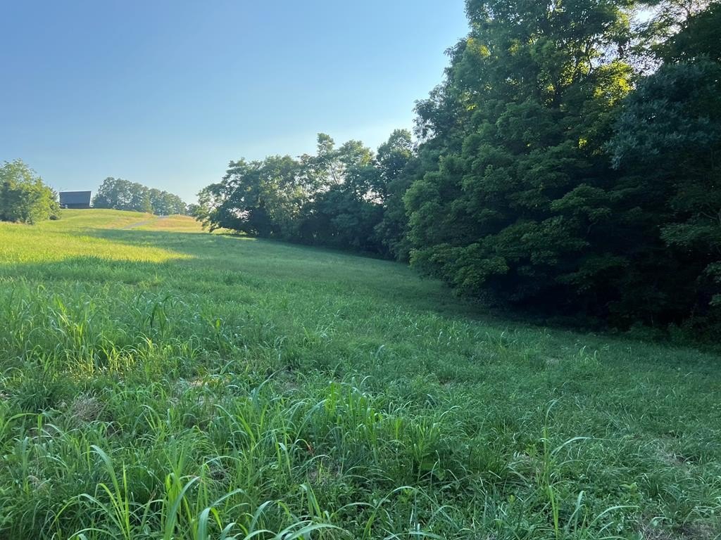 Other - Amonett Circle lot: 19, Byrdstown, TN