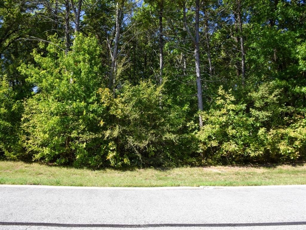 Plots and Land - Tbd Annadale Lane, Gordonville, TX