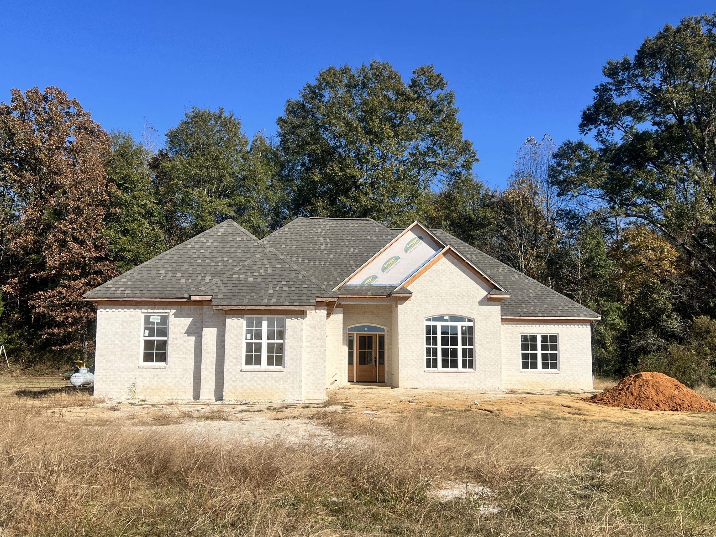 Single Family 3BR 2BA - 170 Belle Meade Drive, Saltillo, MS