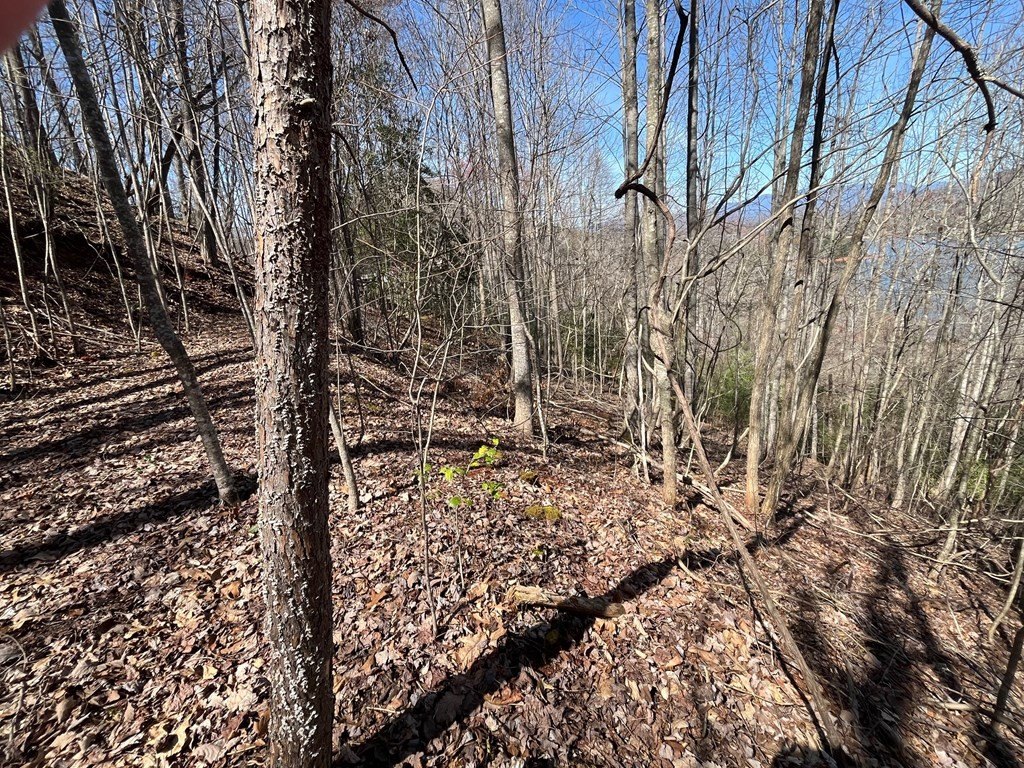 Other - Tract 1 Brer Fox Ridge, Hiawassee, GA