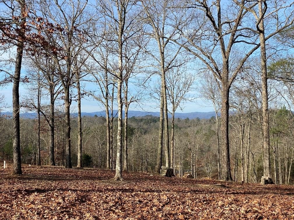 Other - 11 Arbor Creek Trail, Mineral Bluff, GA