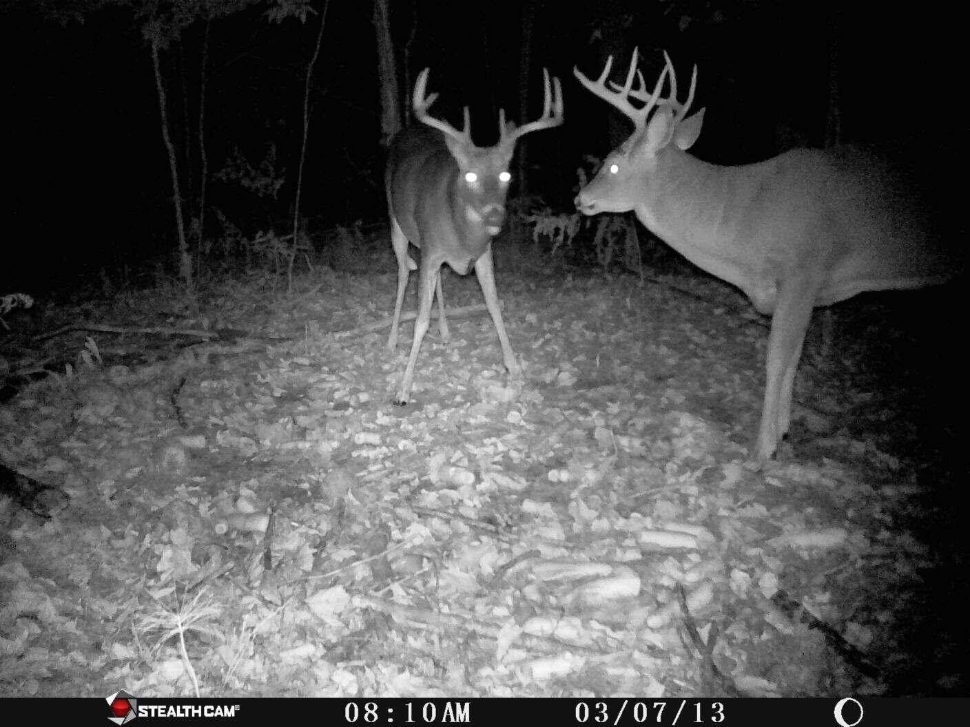Other - 1621 Baker Road NE, Kalkaska, MI