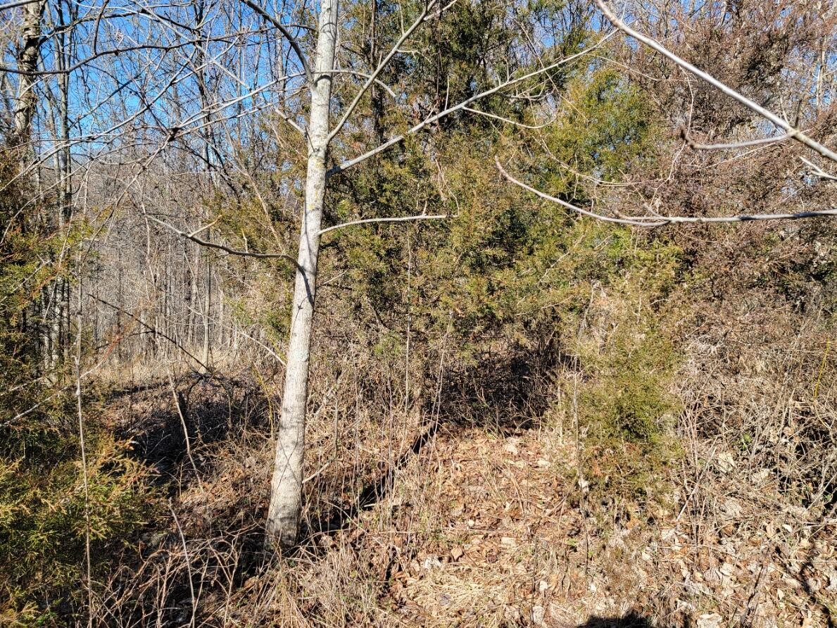 Lot 2-3-4 Cresthill Dr