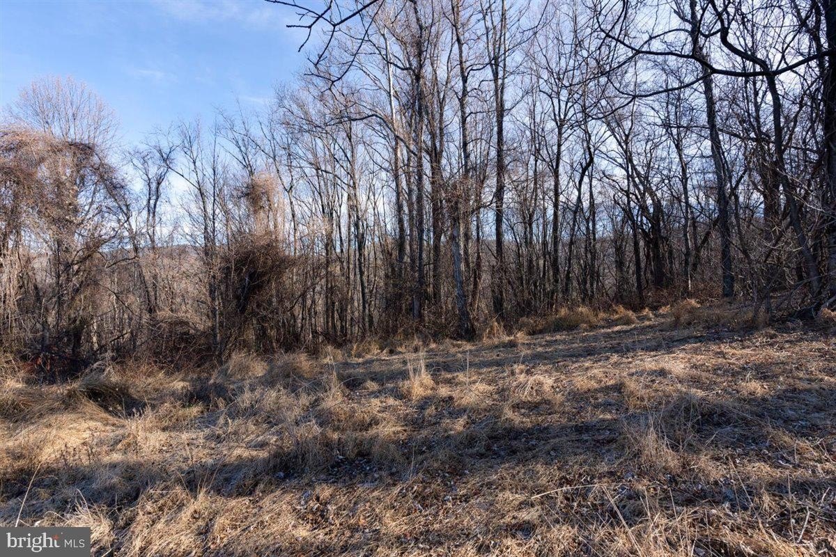 Plots and Land - TBD OVERLOOK MOUNTAIN RD, ELKTON, VA