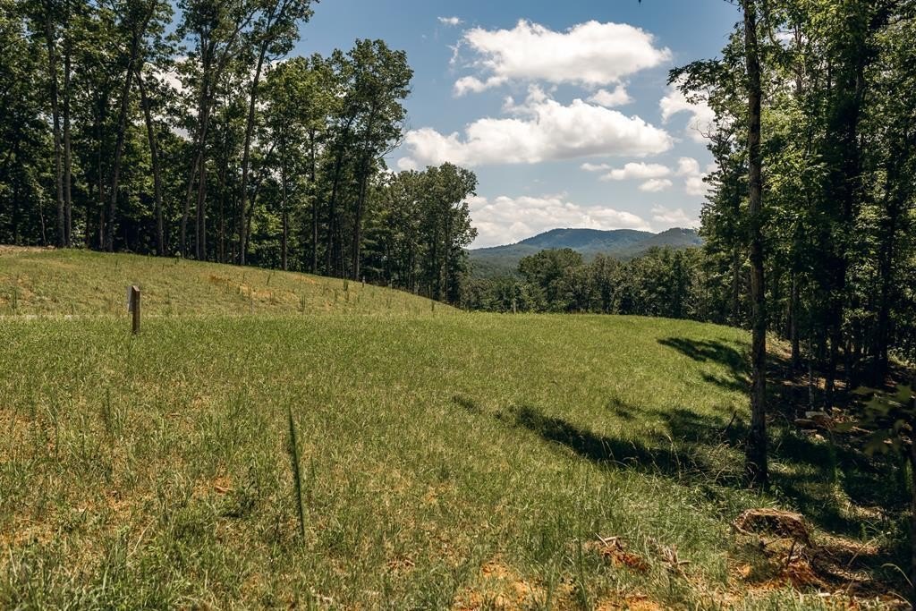 Other - Lot 133 Ridges Of Blue Ridge, Morganton, GA