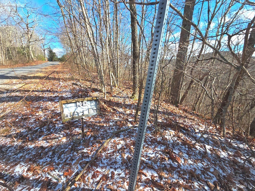 Other - 220 Sky Dr lot: Pt-11, Maggie Valley, NC