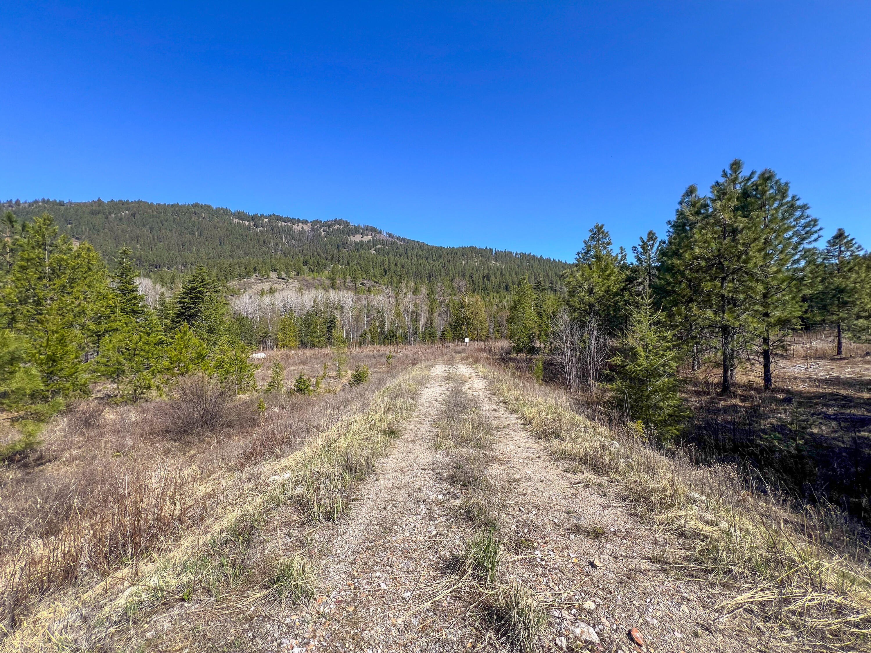 Other - 26XX FLOWERY TRAIL RD, CHEWELAH, WA
