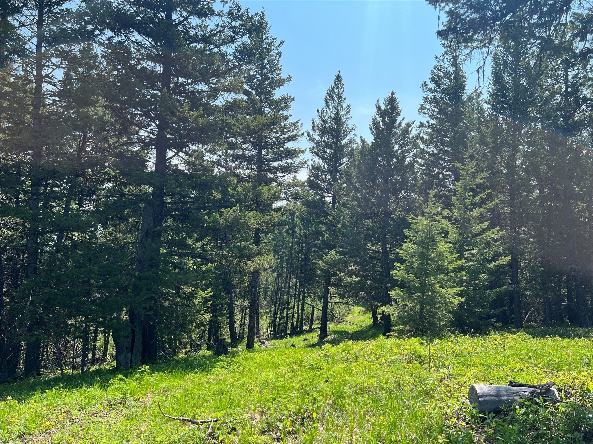 Plots and Land - Nhn Emmons Canyon Road, Kalispell, MT