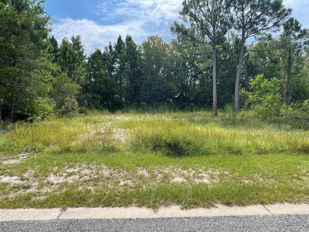 Other - 1612 Sea Breeze Way lot: 43, Carrabelle, FL