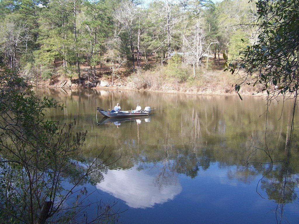 Single Family - 115 Barfoot Lane, Georgetown, AL