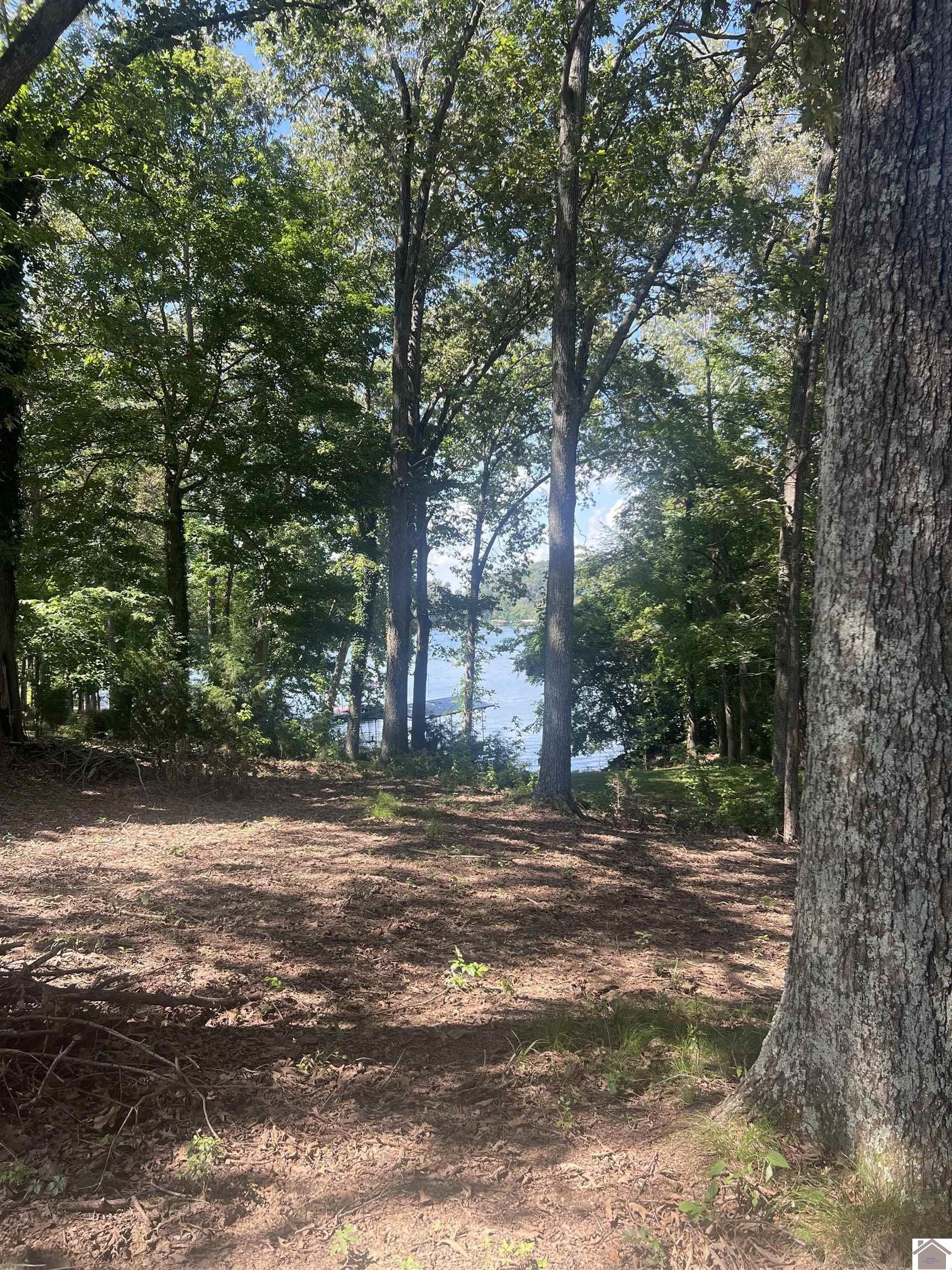 Other - 510 Carriage Cove Road, Cadiz, KY