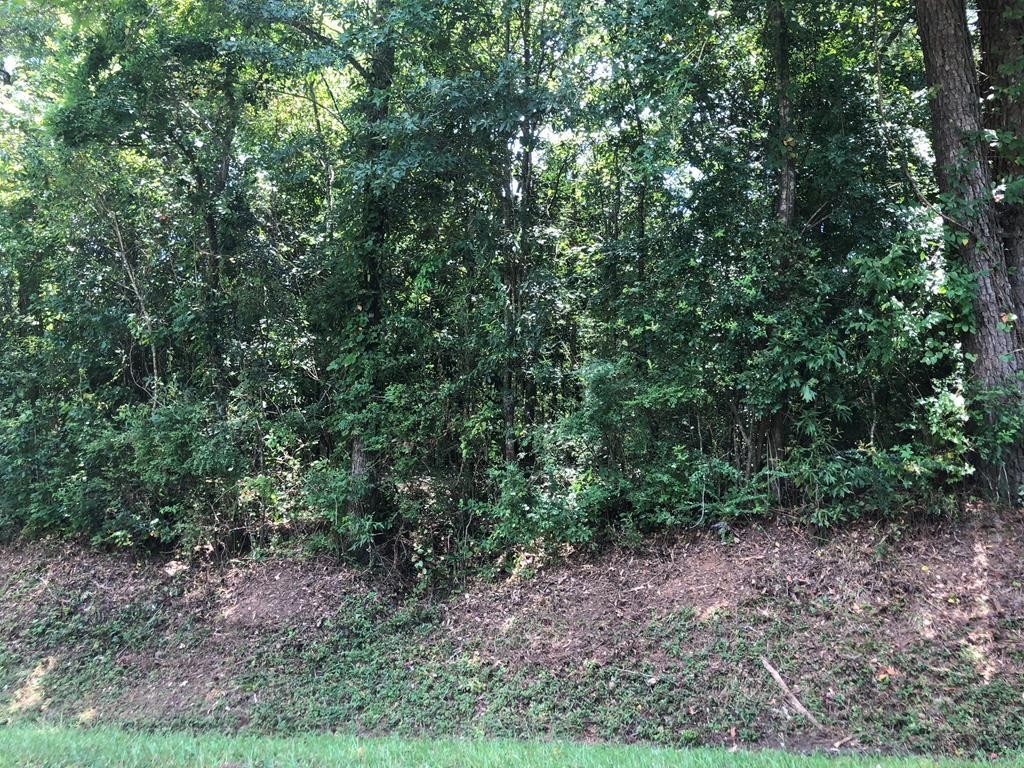 Other - 0 State St.Lot 43, Laurel, MS