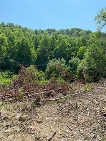 Other - 00 Rye Branch (DB 225, DP 424-433), Gunlock, KY