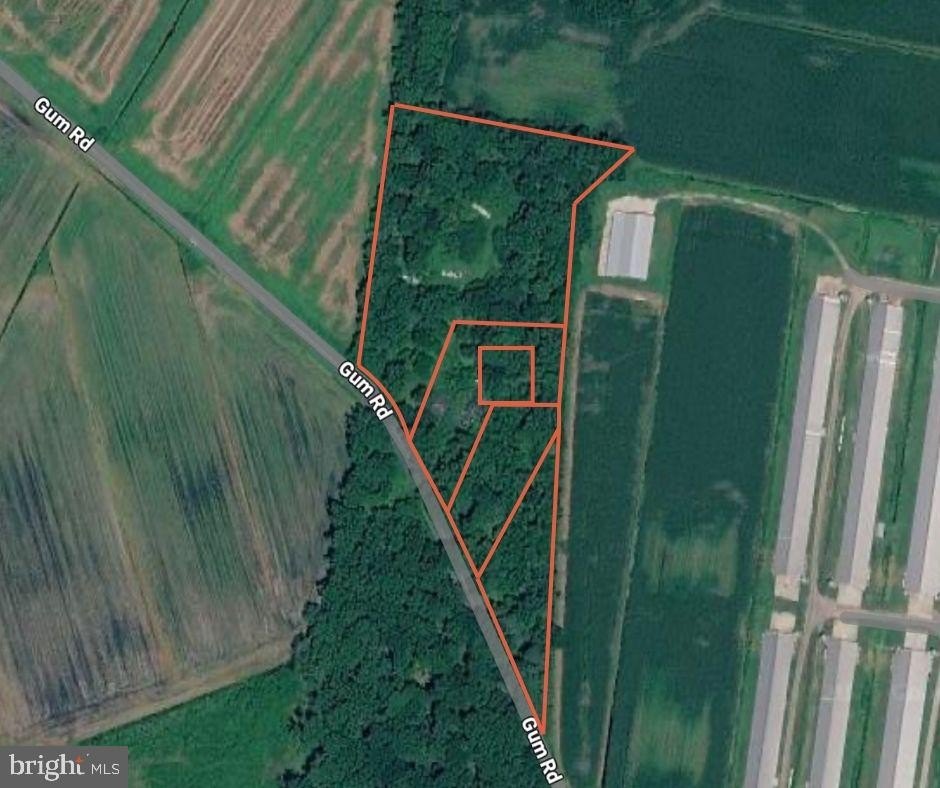 Plots and Land - GUM RD, FRANKFORD, DE