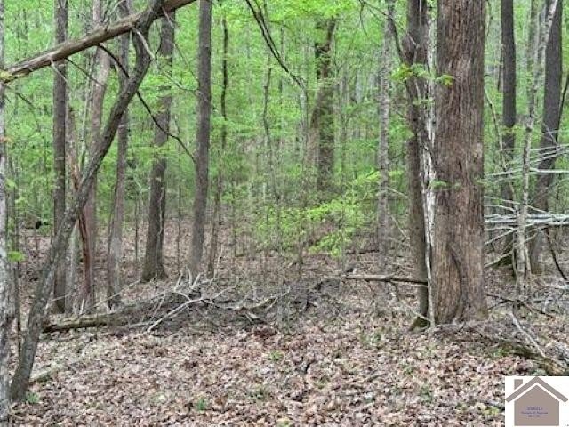 Other - Motley Circle lot: 12, Eddyville, KY