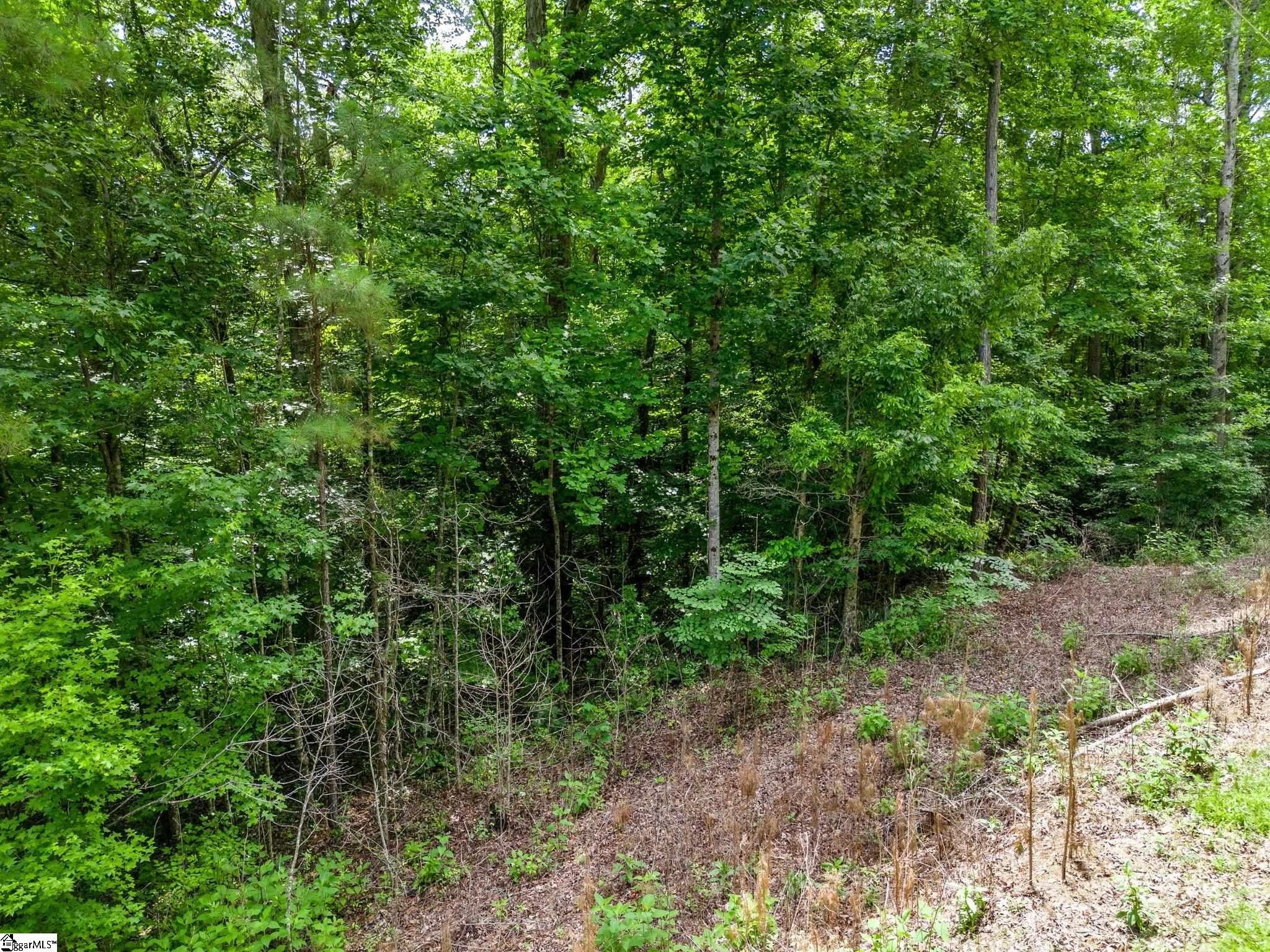 Other - Bowater Pass, Fountain Inn, SC