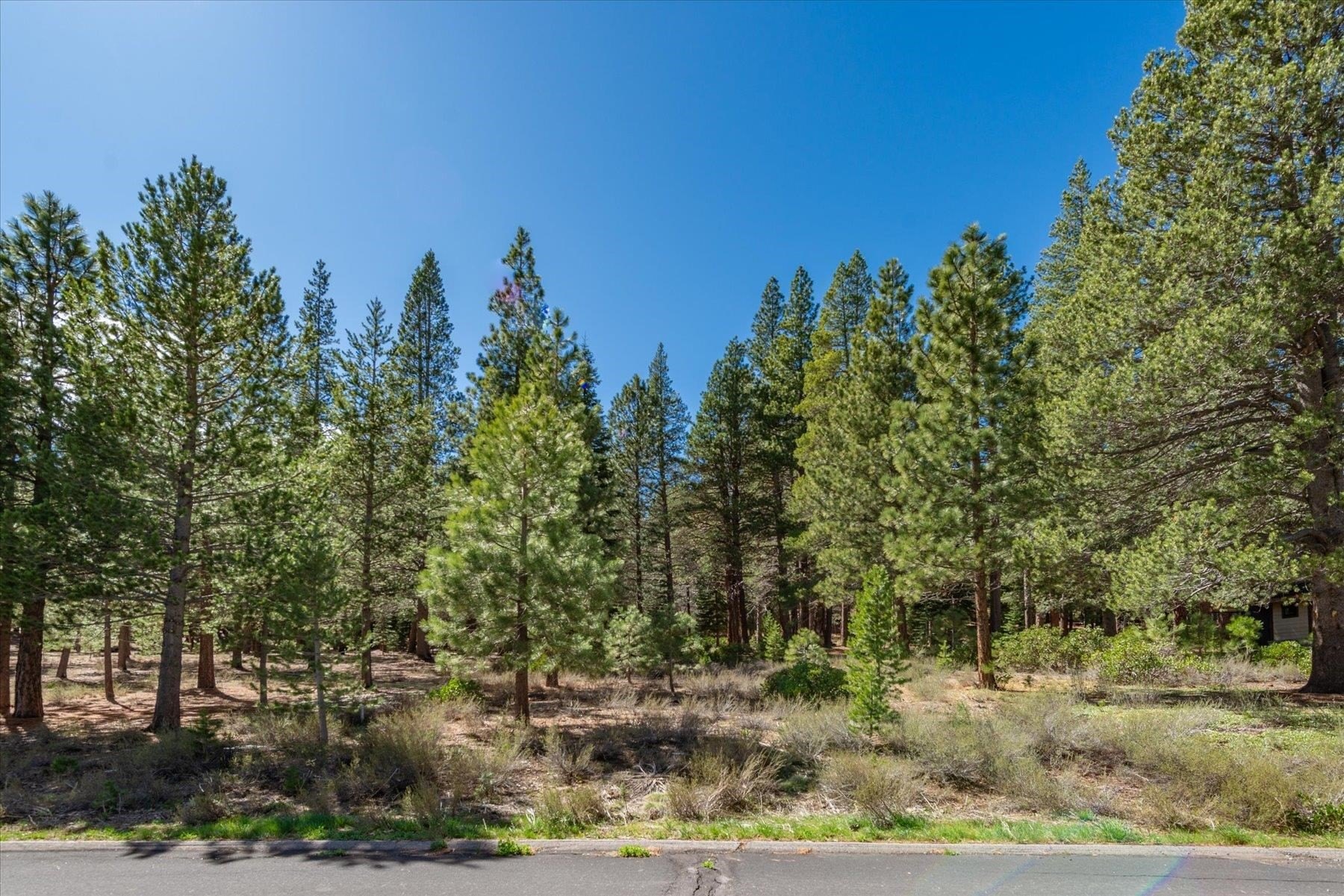 Other - 11850 Bottcher Loop, Truckee, CA