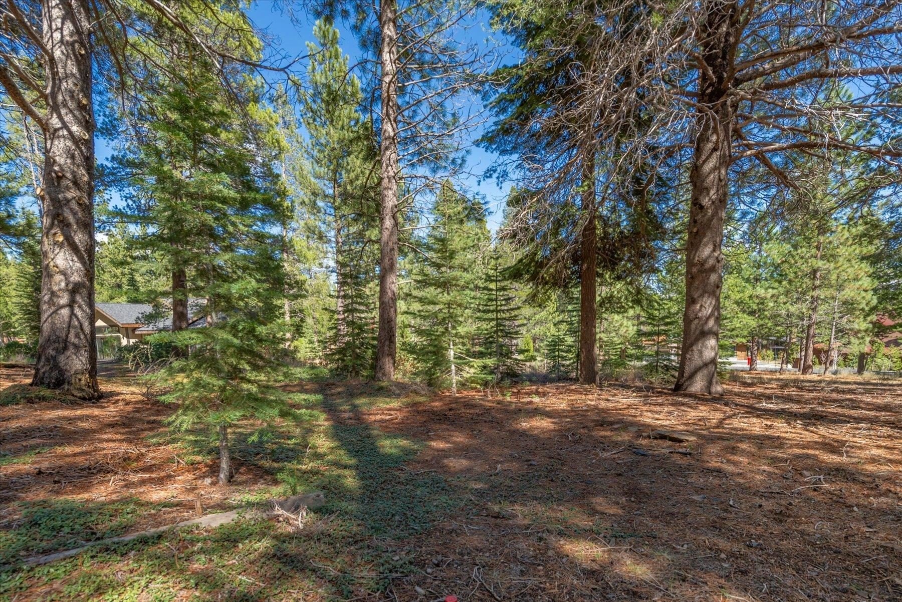 Plots and Land - 11850 Bottcher Loop, Truckee, CA