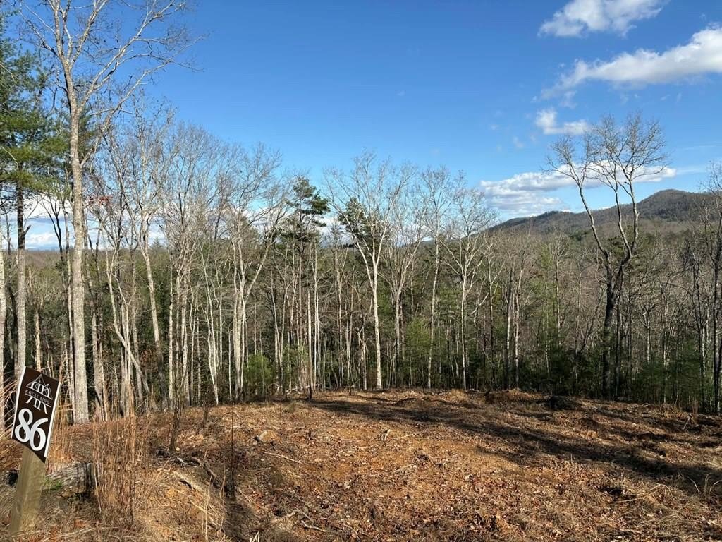 Other - Lot 86 Lookout Ridge, Mineral Bluff, GA
