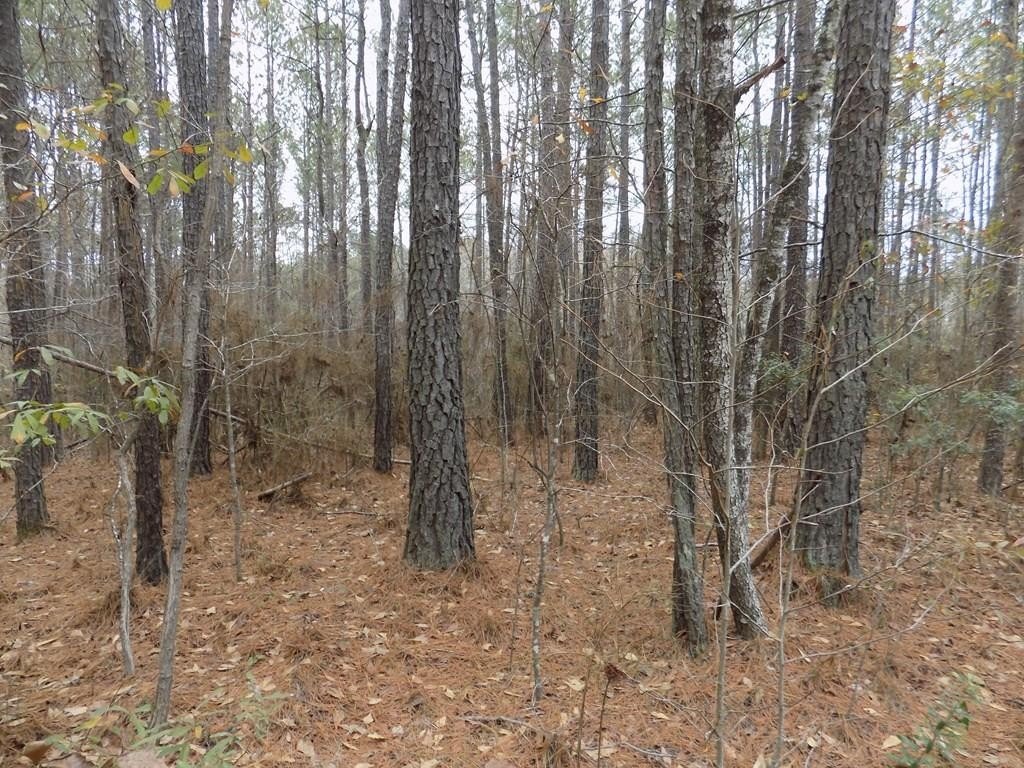 Other - Mullins Road, Hamilton, GA
