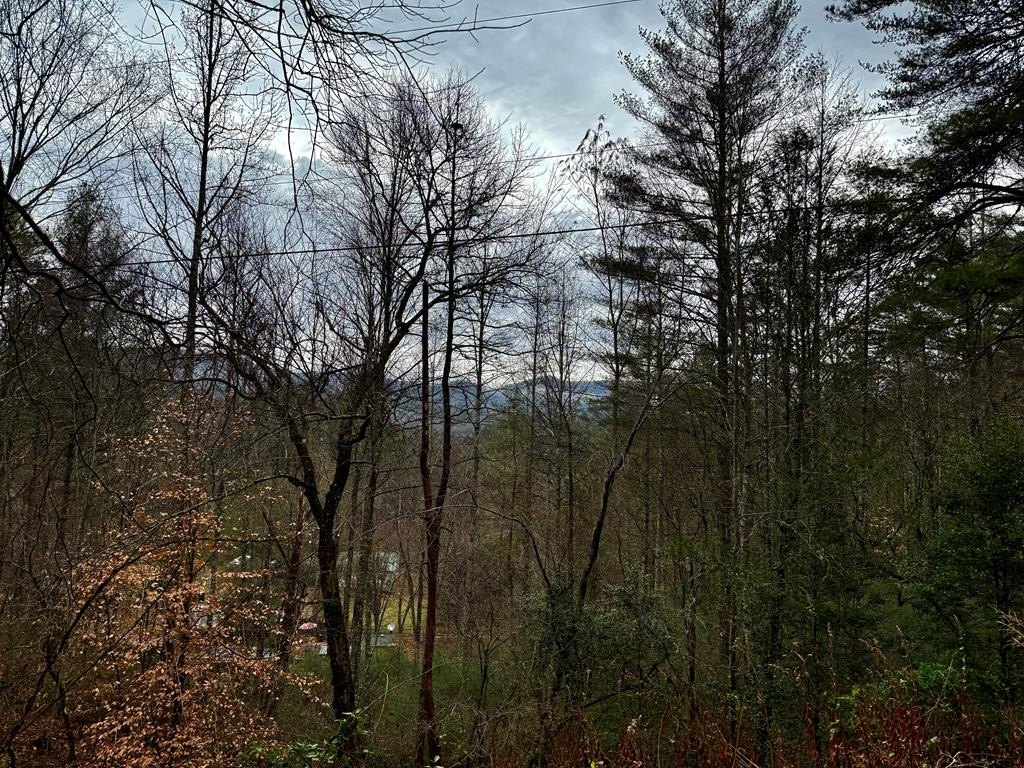 Other - lot: 23, Franklin, NC